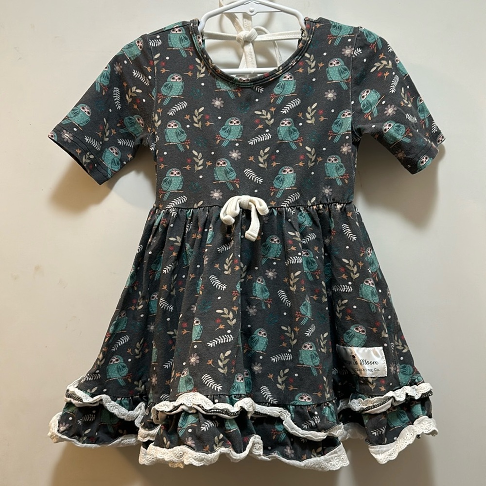 ALWAYS IN BLOOM 3T SWING DRESS WITH OWLS 🦉